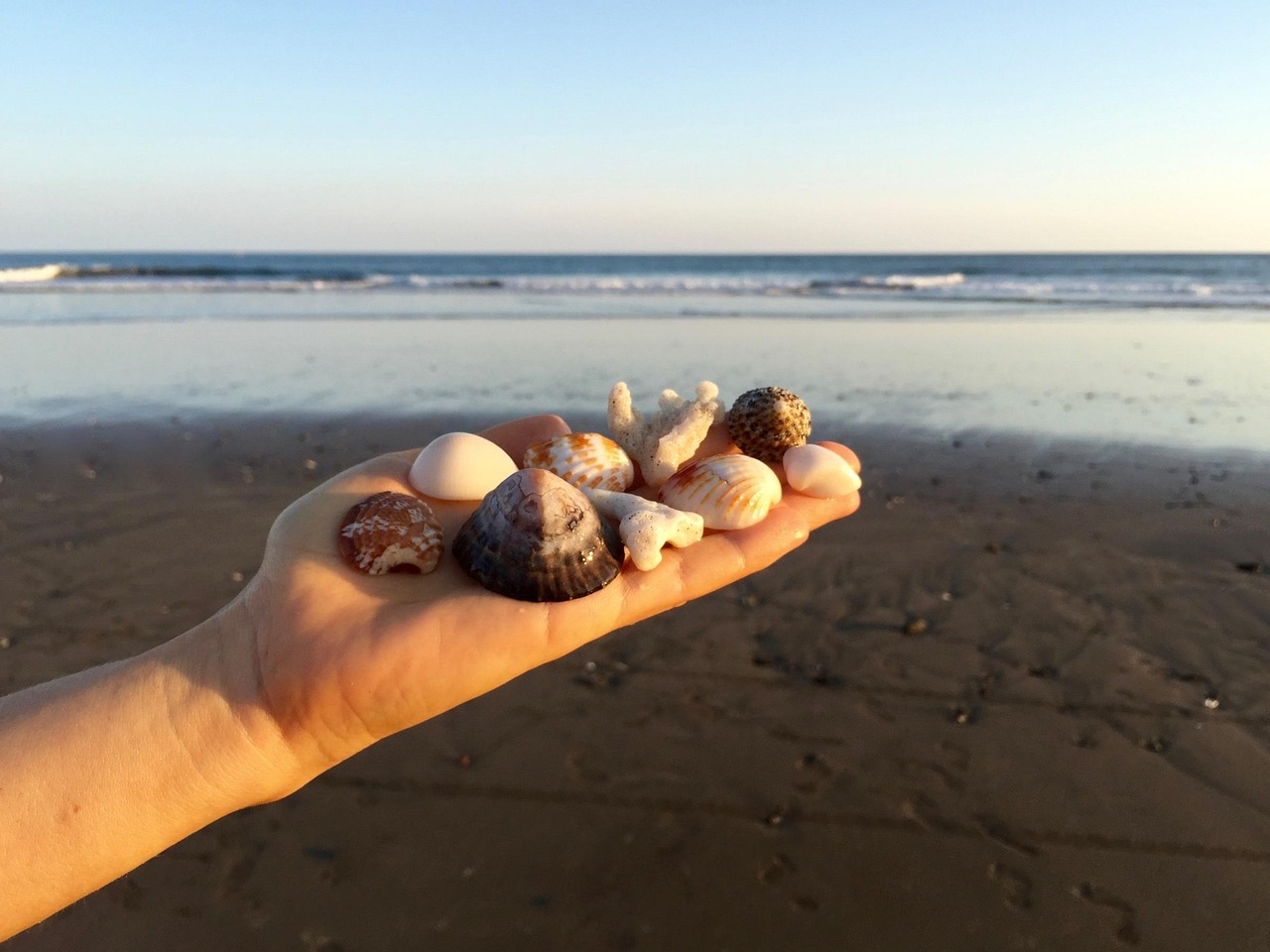 时光流转下的生命轮回，春夏秋冬又一春电影