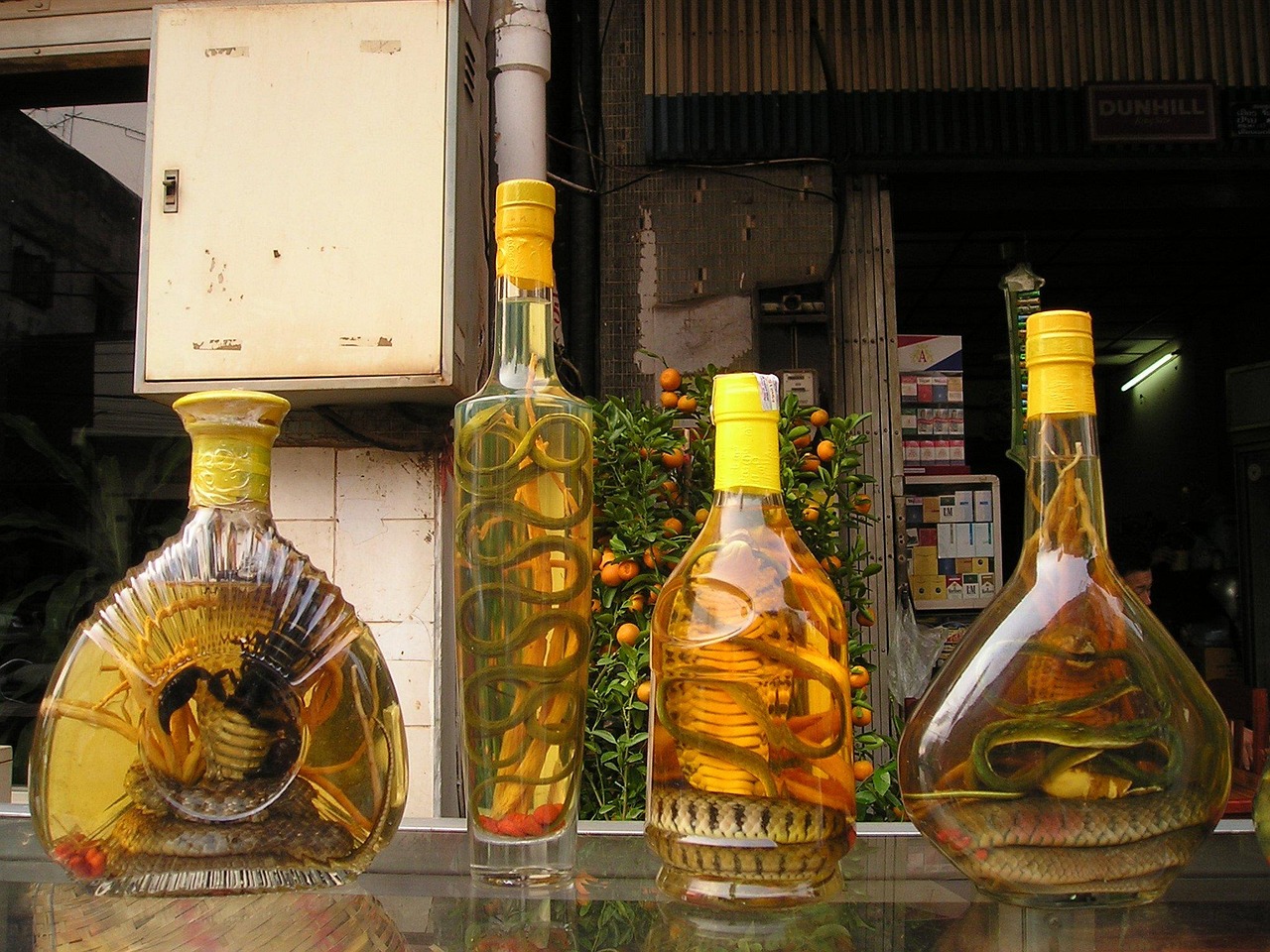 五月三蛇酒价格与价值探究