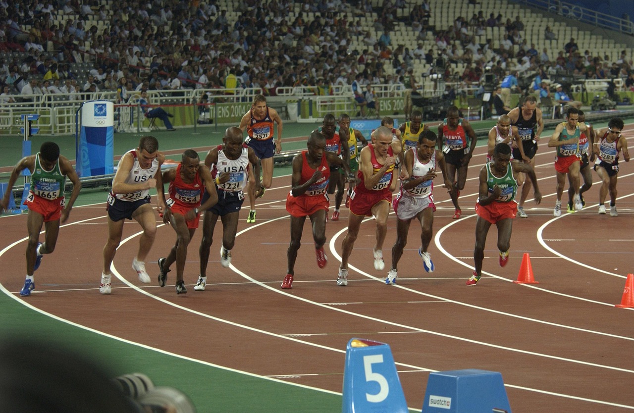五月盛事，观斗鸡比赛激情上演